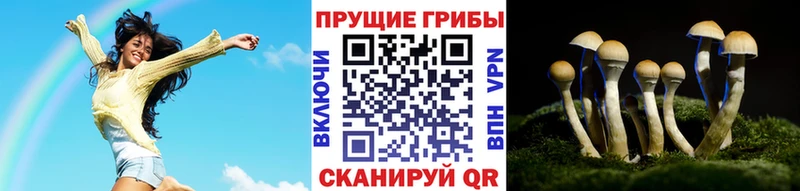 Псилоцибиновые грибы мухоморы  Усть-Илимск 