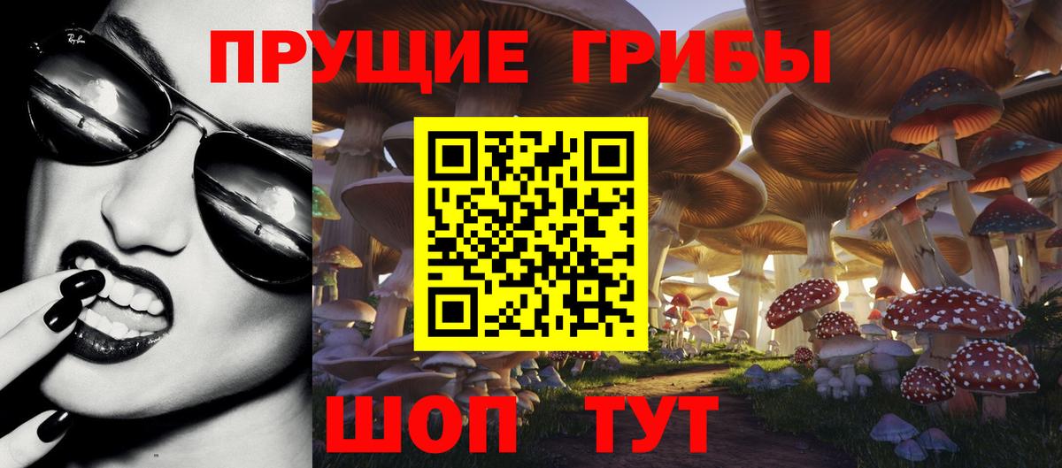 Галлюциногенные грибы мицелий Усть-Илимск